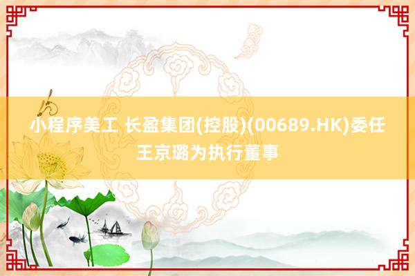 小程序美工 长盈集团(控股)(00689.HK)委任王京璐为执行董事